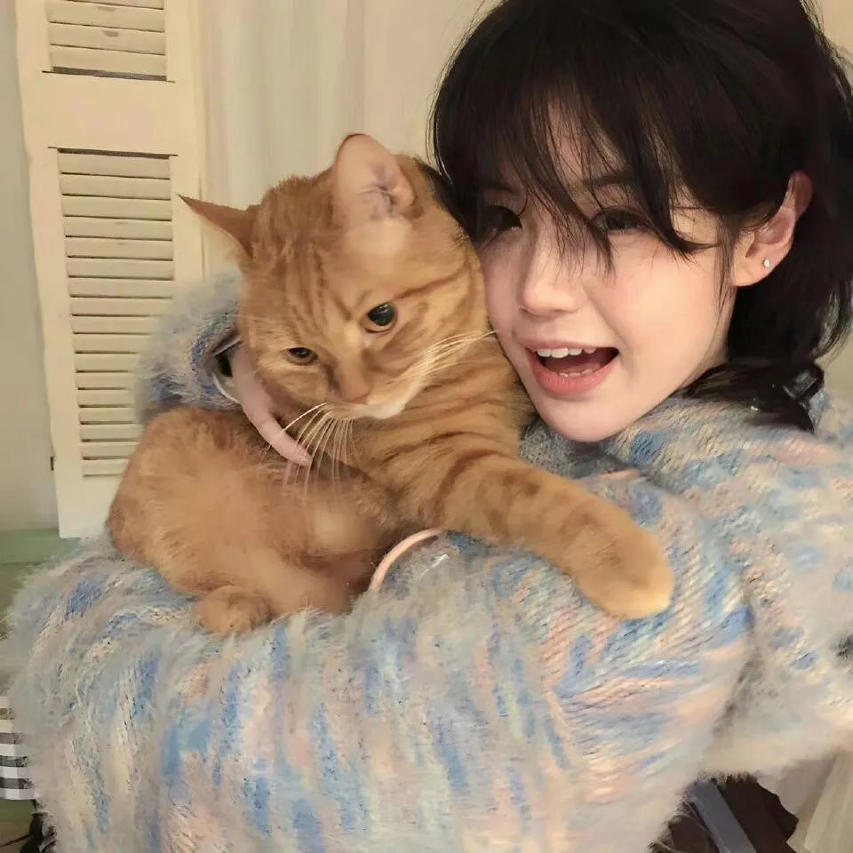 过河拆桥蠢徒弟后悔了